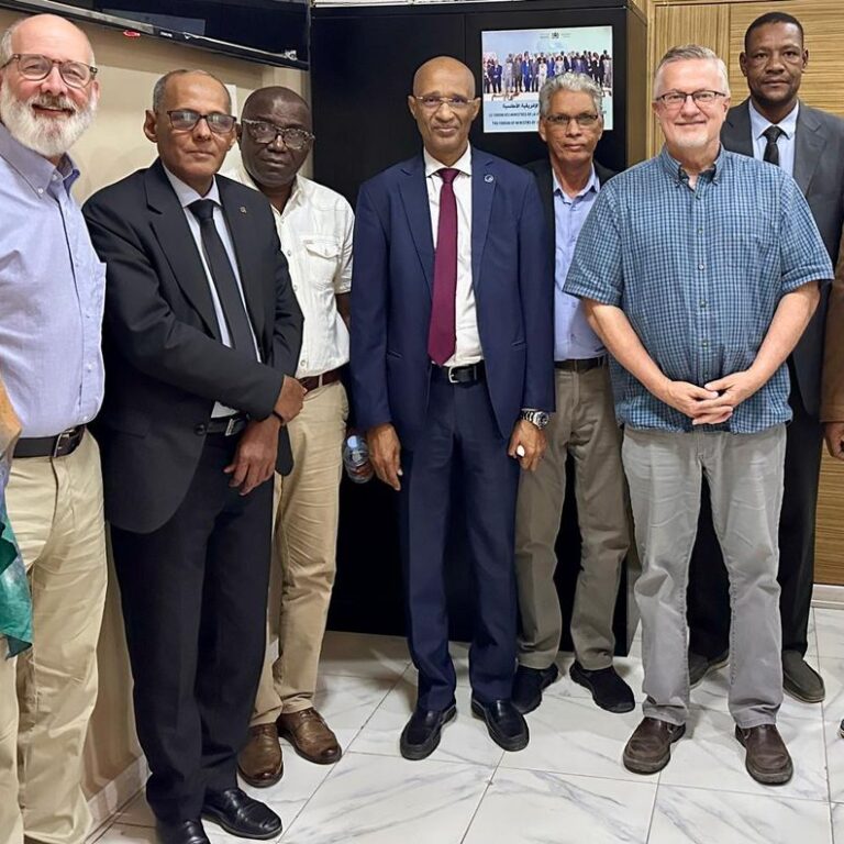 WhatsApp Image 2026-02-17 at 8.09